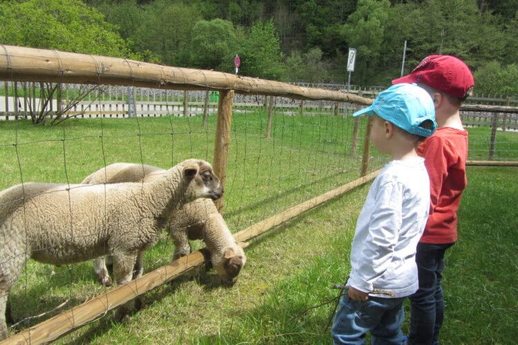  Gott lässt niemanden verloren gehen - KiGo beim Bauer, Kleintierzüchter oder am Streichelgehege